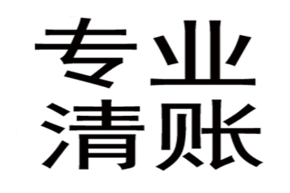 法院诉讼解决债务问题有何后果？